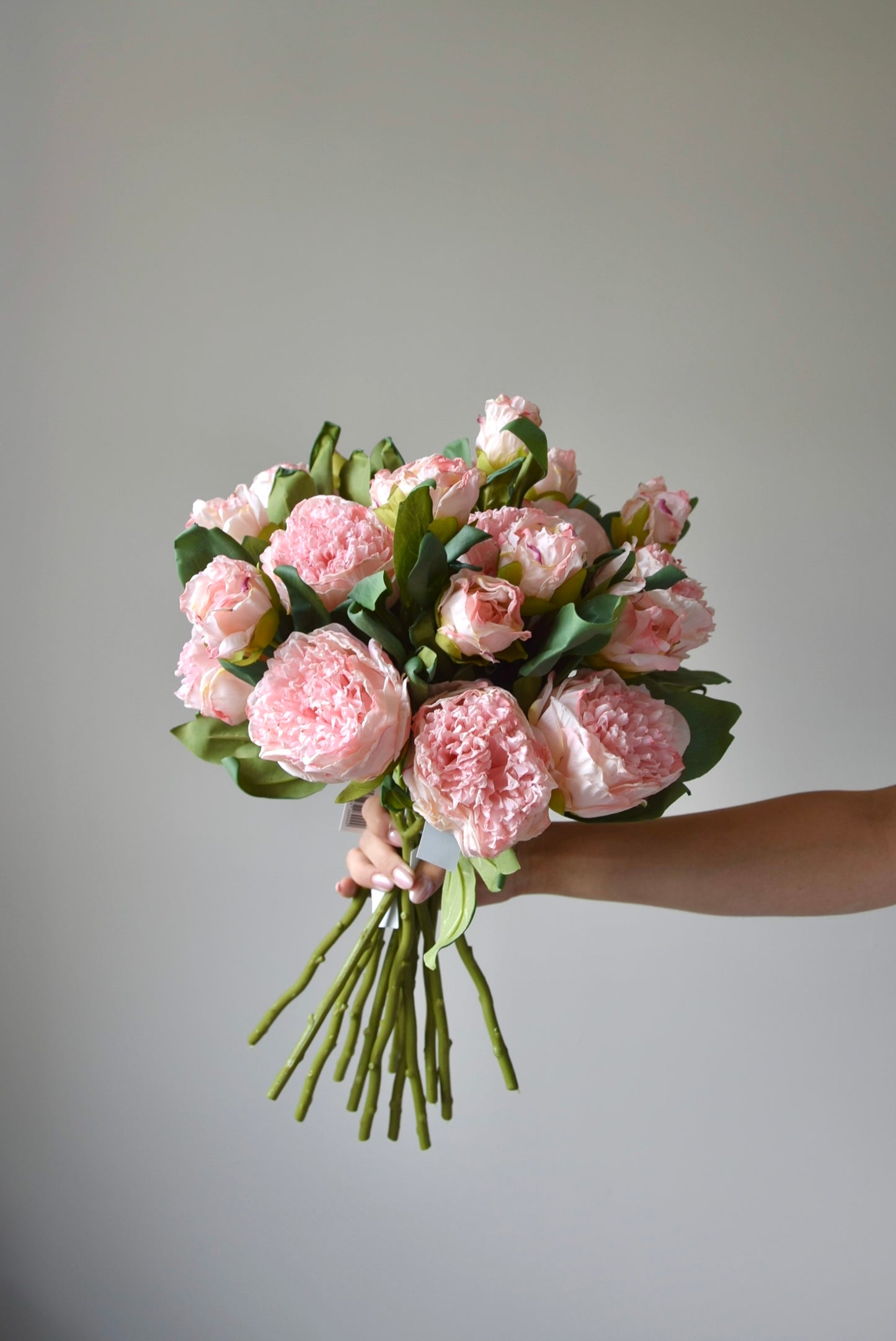 Bunch of pale pink peonies being held against a neutral coloured wall.