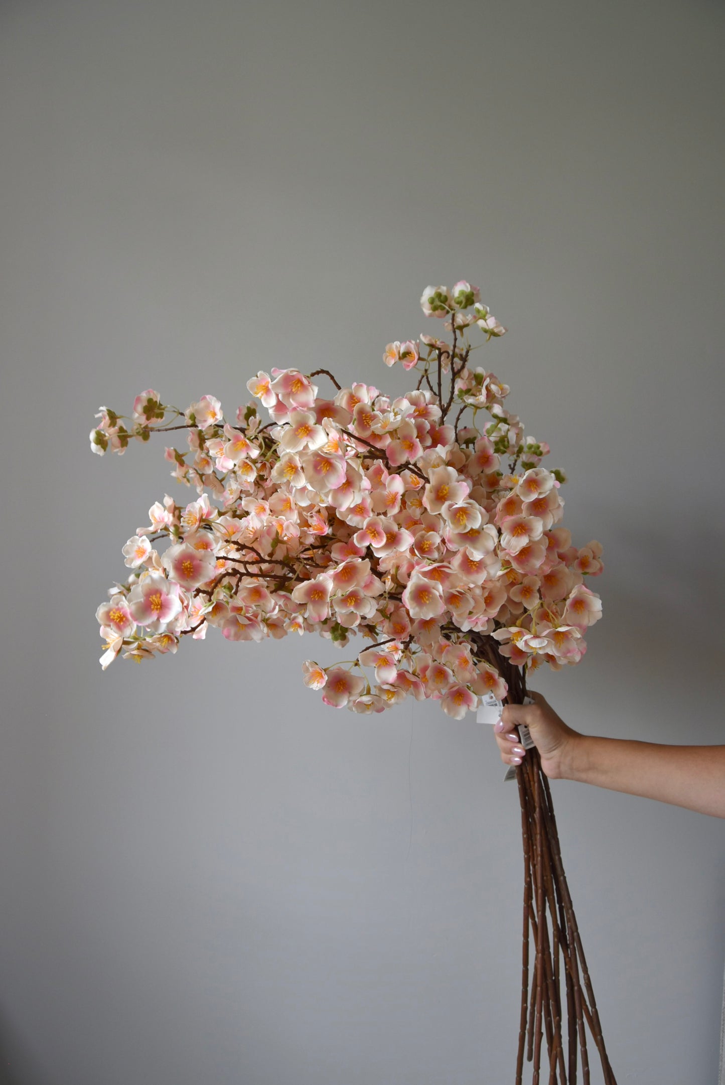 A bunch of pink plum blossom stems displayed against a neutral coloured wall.
