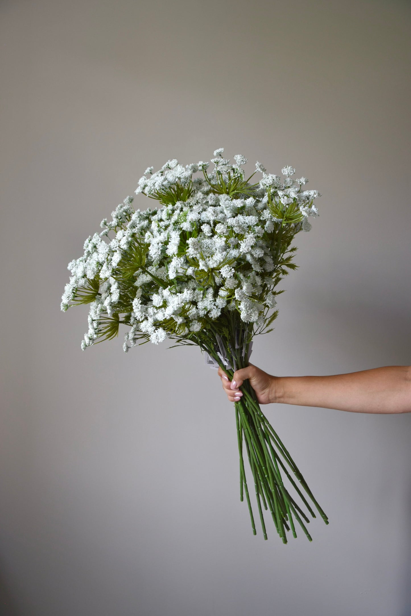 A bunch of artificial cow parsley held against a neutral coloured wall.
