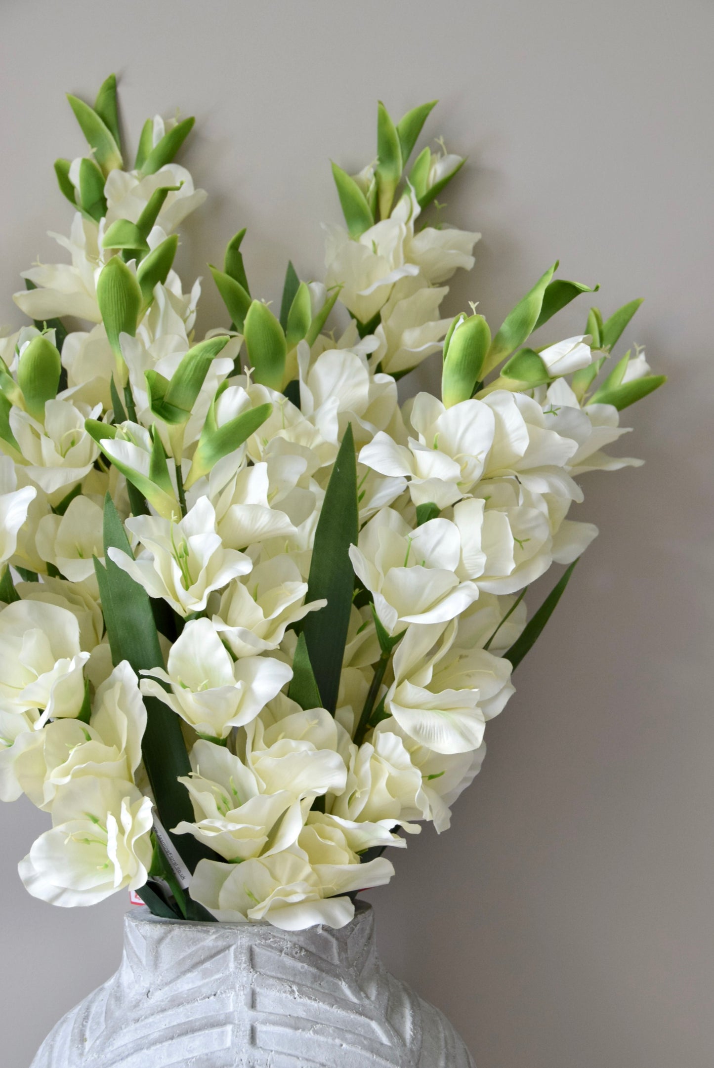 White flowers in a vase against a plain background