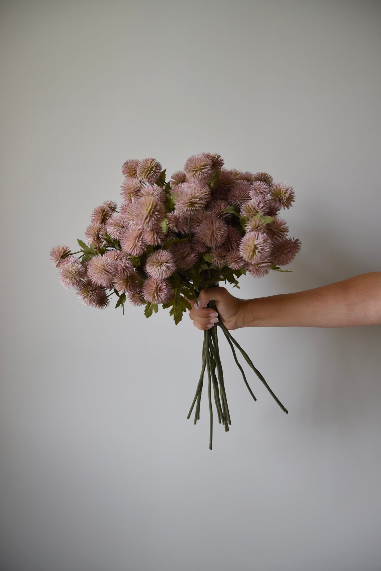 Hand holding a bouquet of pink flowers against a plain background