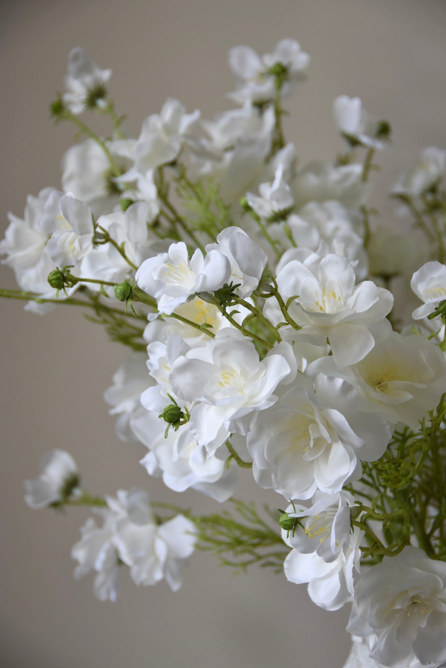 Close-up of white flowers with a blurred background