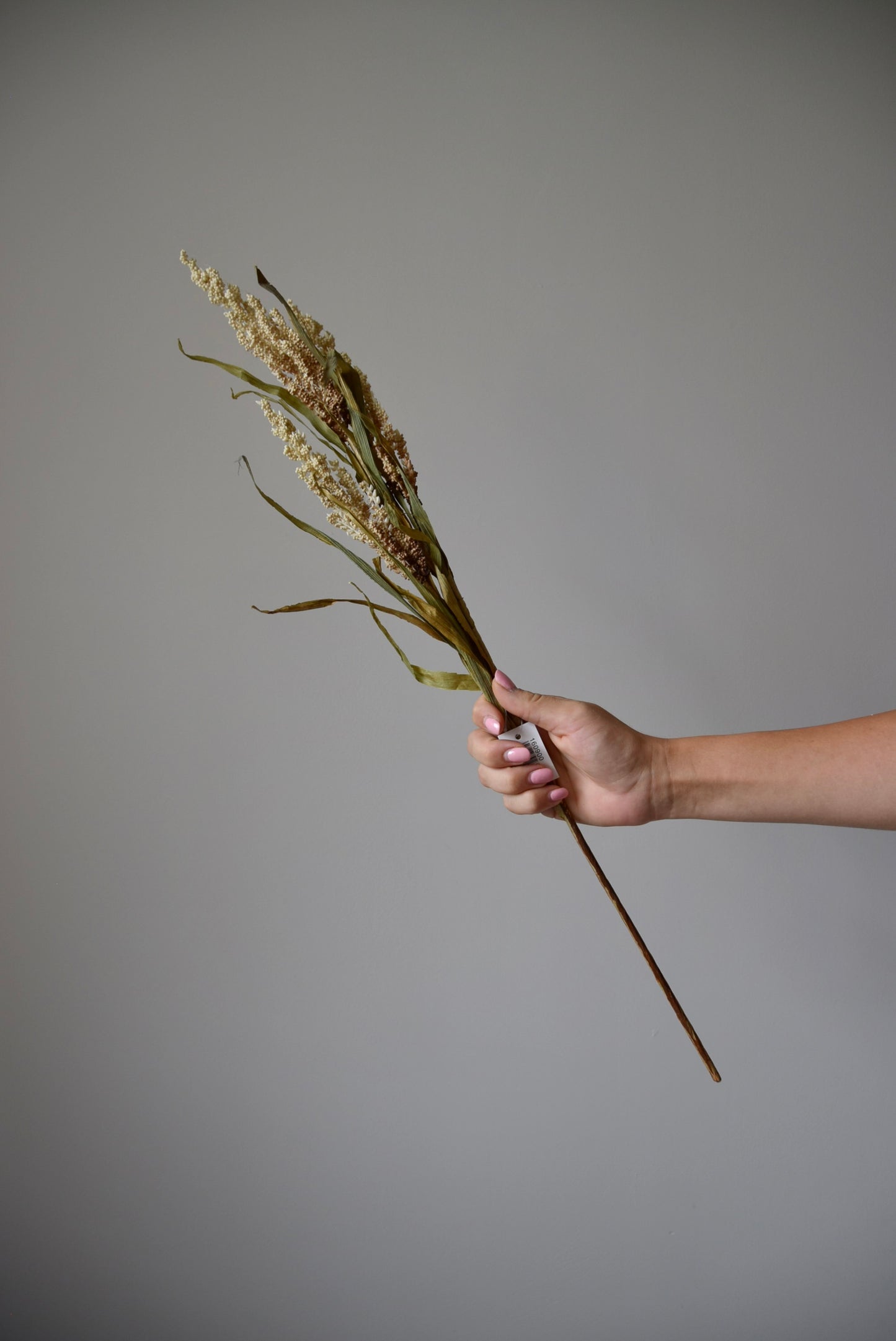 Hand holding a bundle of dried grass against a grey background