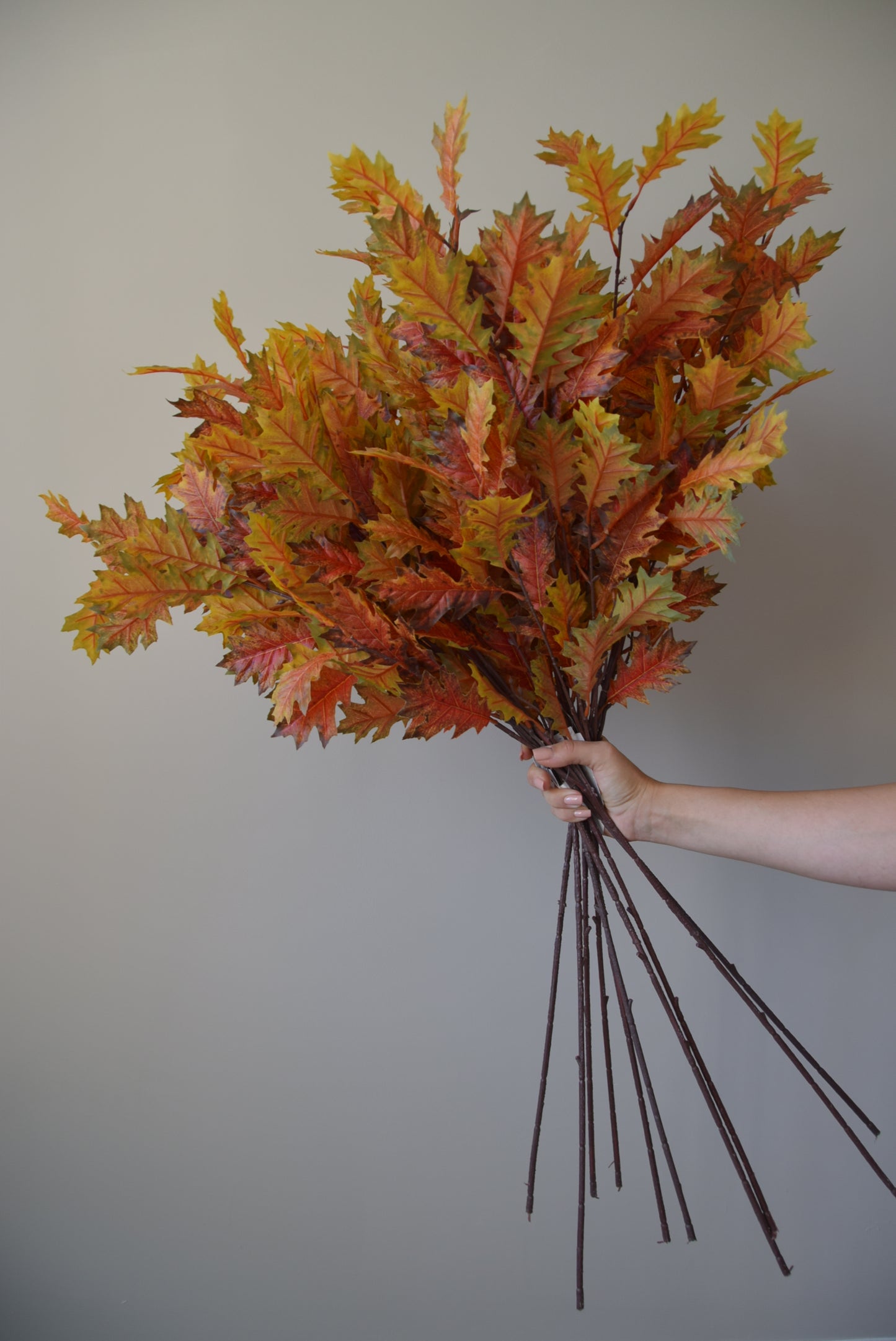 Bouquet of autumn leaves held by a hand against a plain background