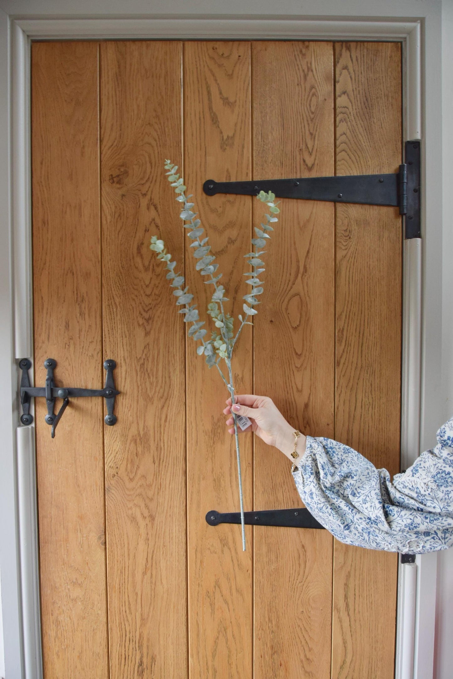 Tall dusted artificial eucalyptus stem displayed against a country style wooden door.