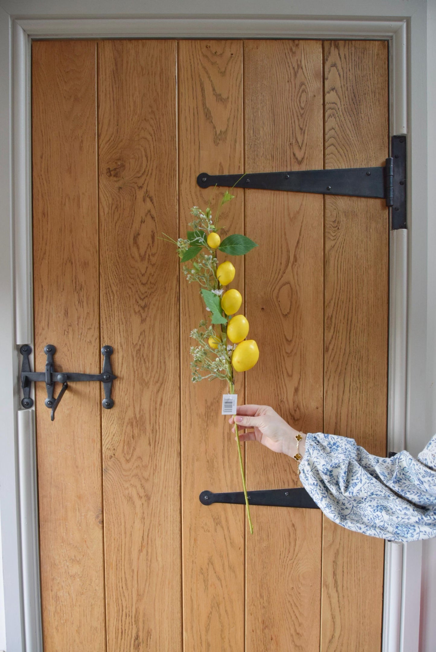 Lemon branch stem displayed against a country style wooden door.