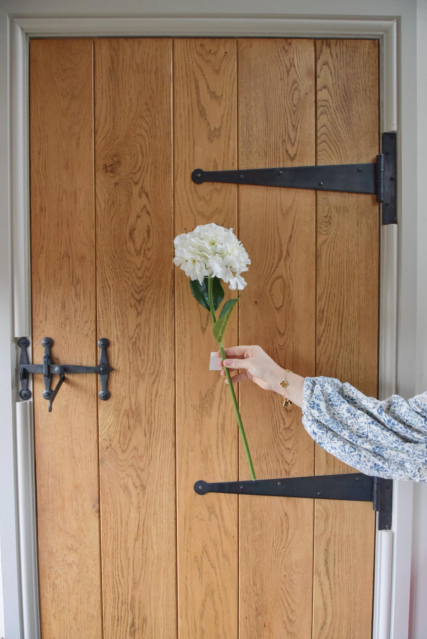 White hydrangea stem displayed against a rustic country style barn door.