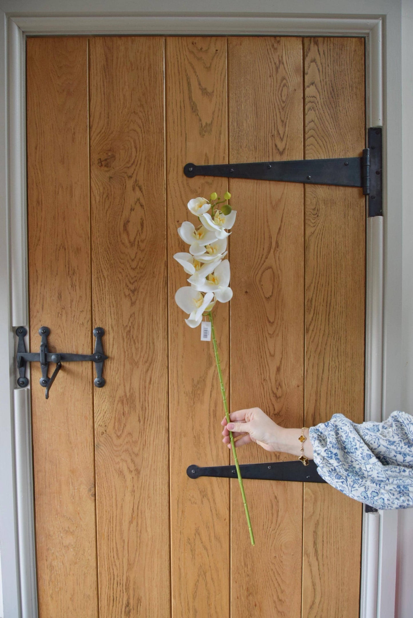 Tall white orchid stem displayed against a country style wooden door.