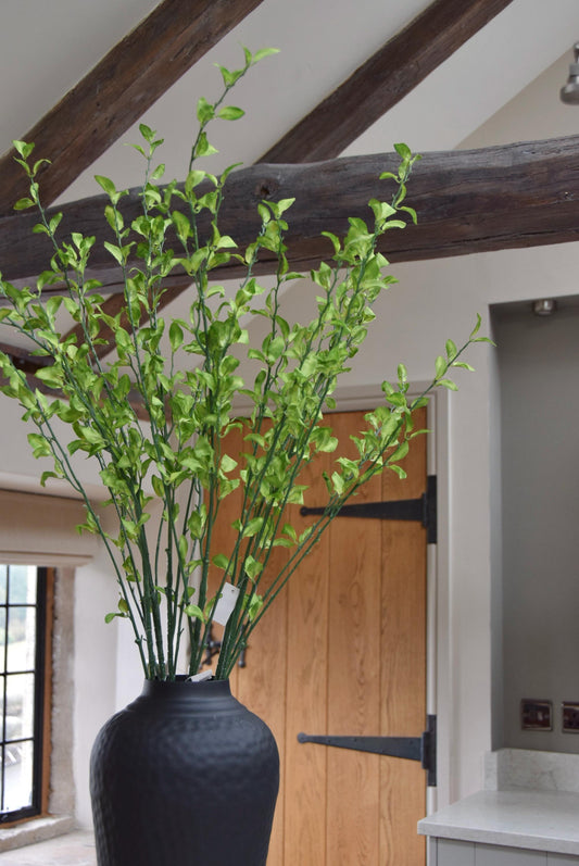 Tall black vase placed on a kitchen countertop with a bunch of green leaf foliage stems. Displayed in a country style kitchen for home decor.