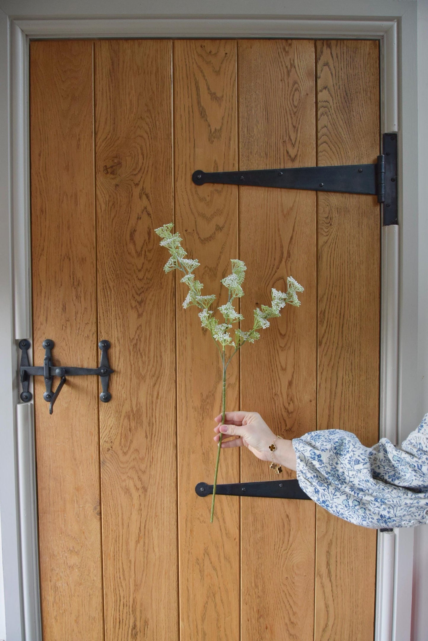 White mini bud stem displayed against a country style wooden door.