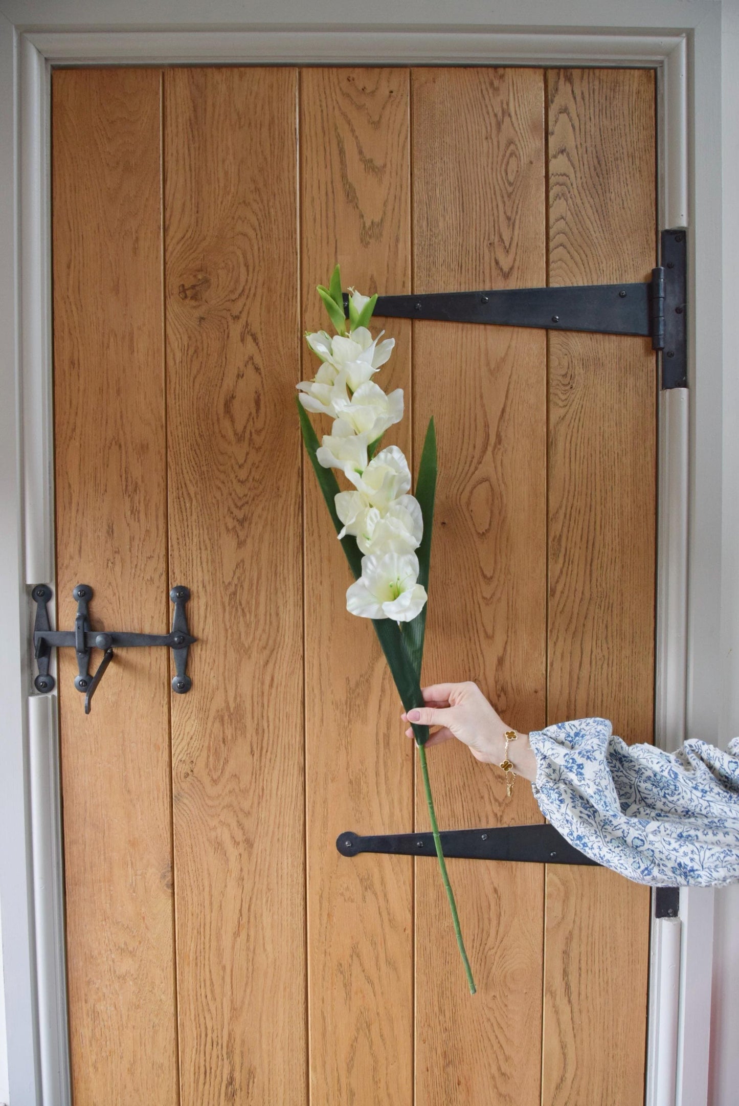 Tall gladioli stem displayed against a country style wooden door.