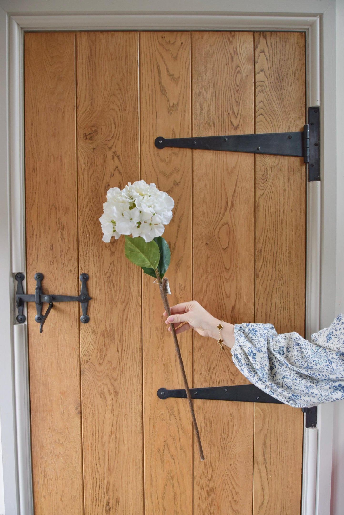 Tall white hydrangea displayed against a country style wooden door.