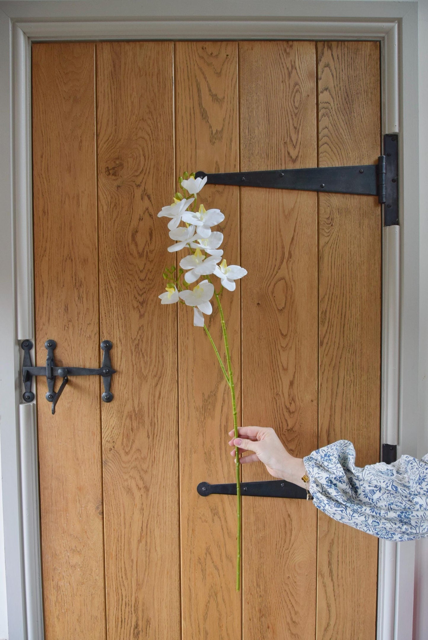 Tall white orchid stem displayed against a country style wooden door.