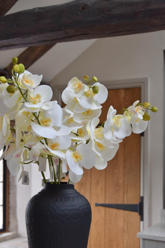 Tall black vase placed on a kitchen countertop with a bunch of white orchid stems. Displayed in a country style kitchen for home decor.