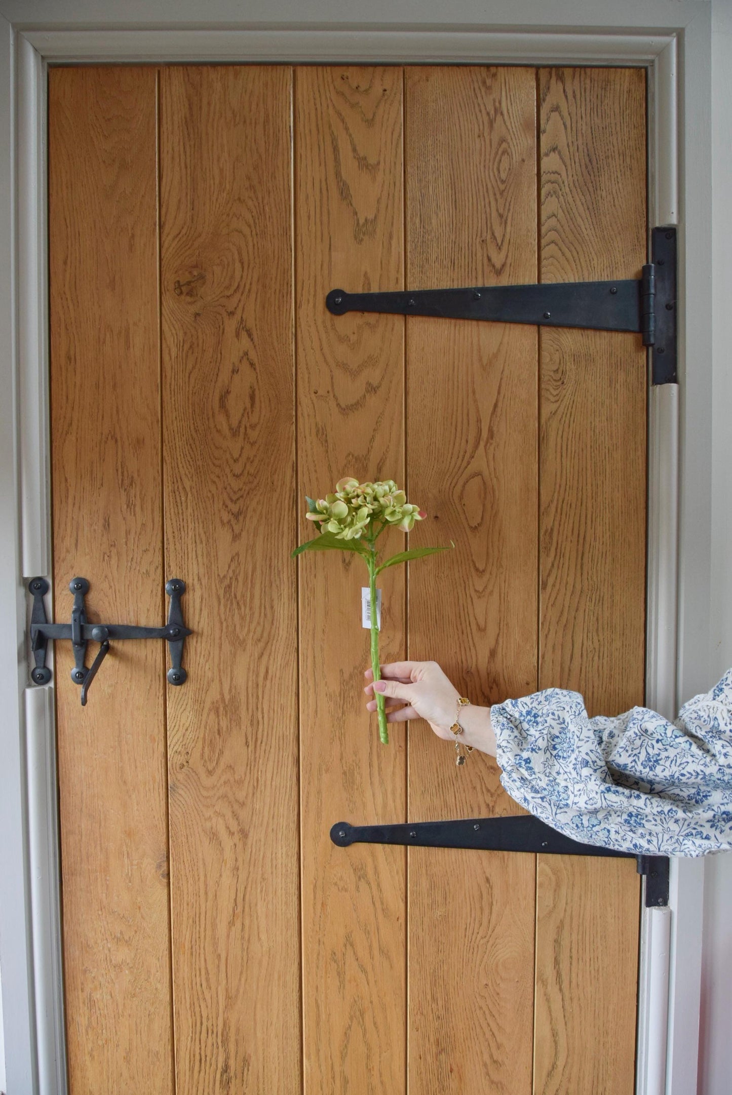 Small green hydrangea displayed against a rustic country style wooden door.