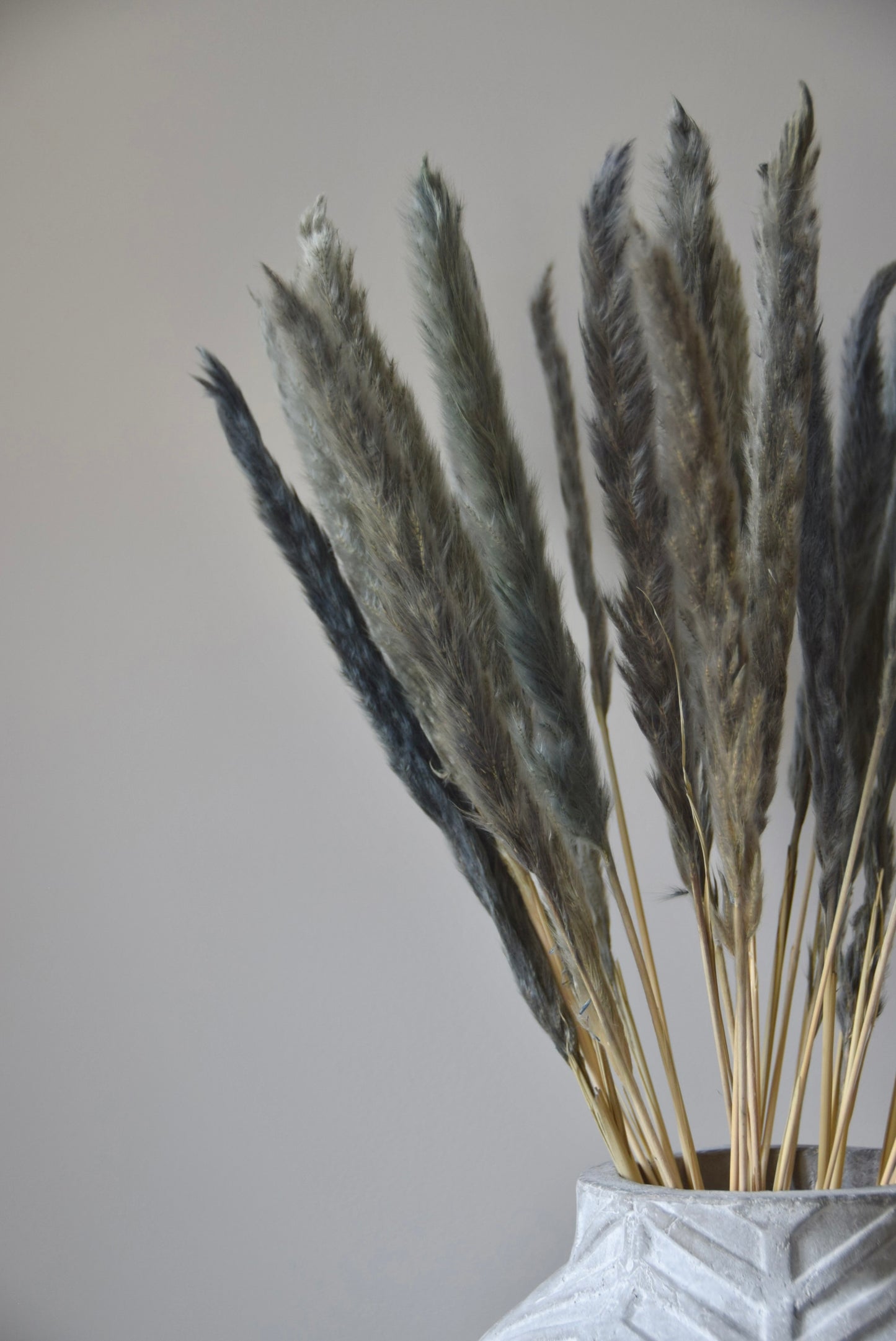 Grey reed pampas stems displayed in a chevron stone vase on a black pedestal.