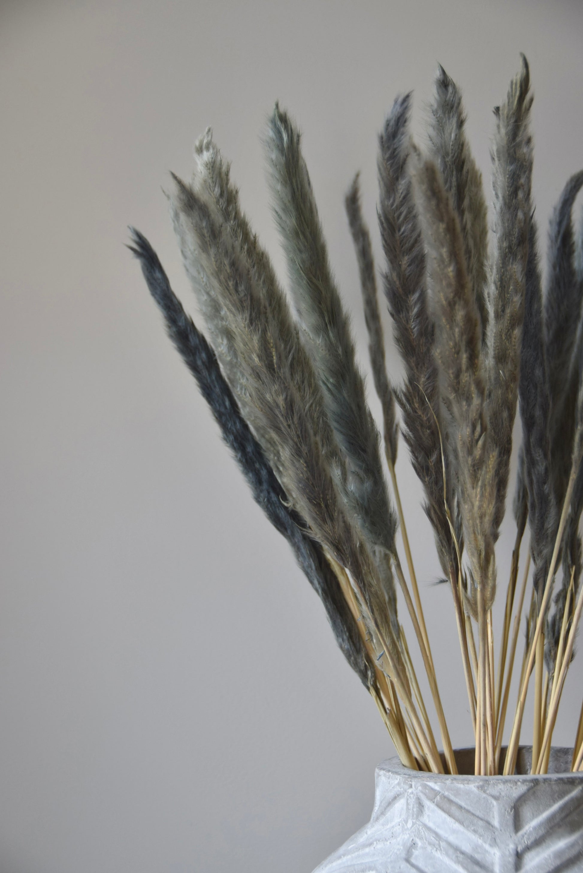 Grey reed pampas stems displayed in a chevron stone vase on a black pedestal.