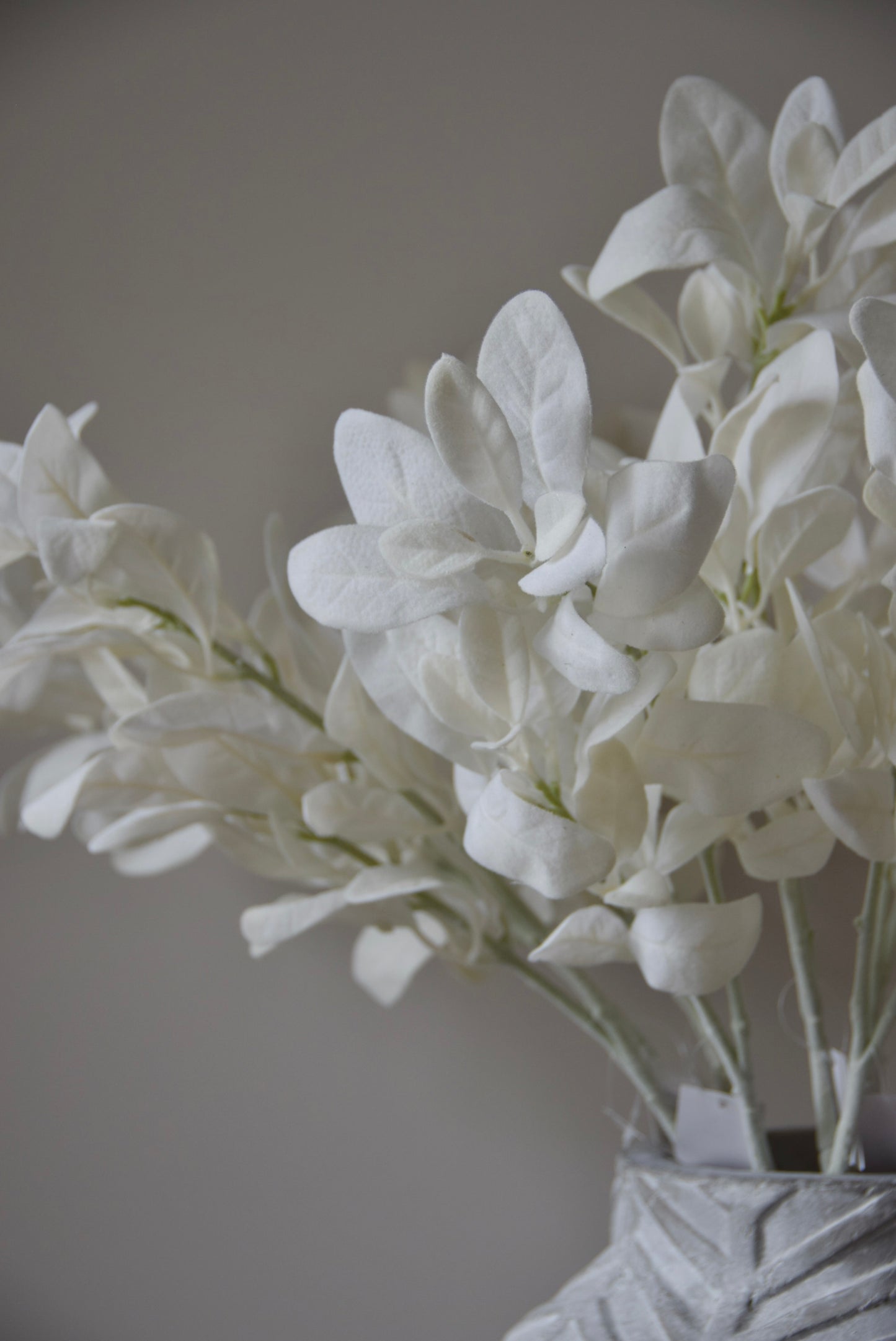 White lamb's ear stem displayed in a chevron stone vase placed on a black pedestal.