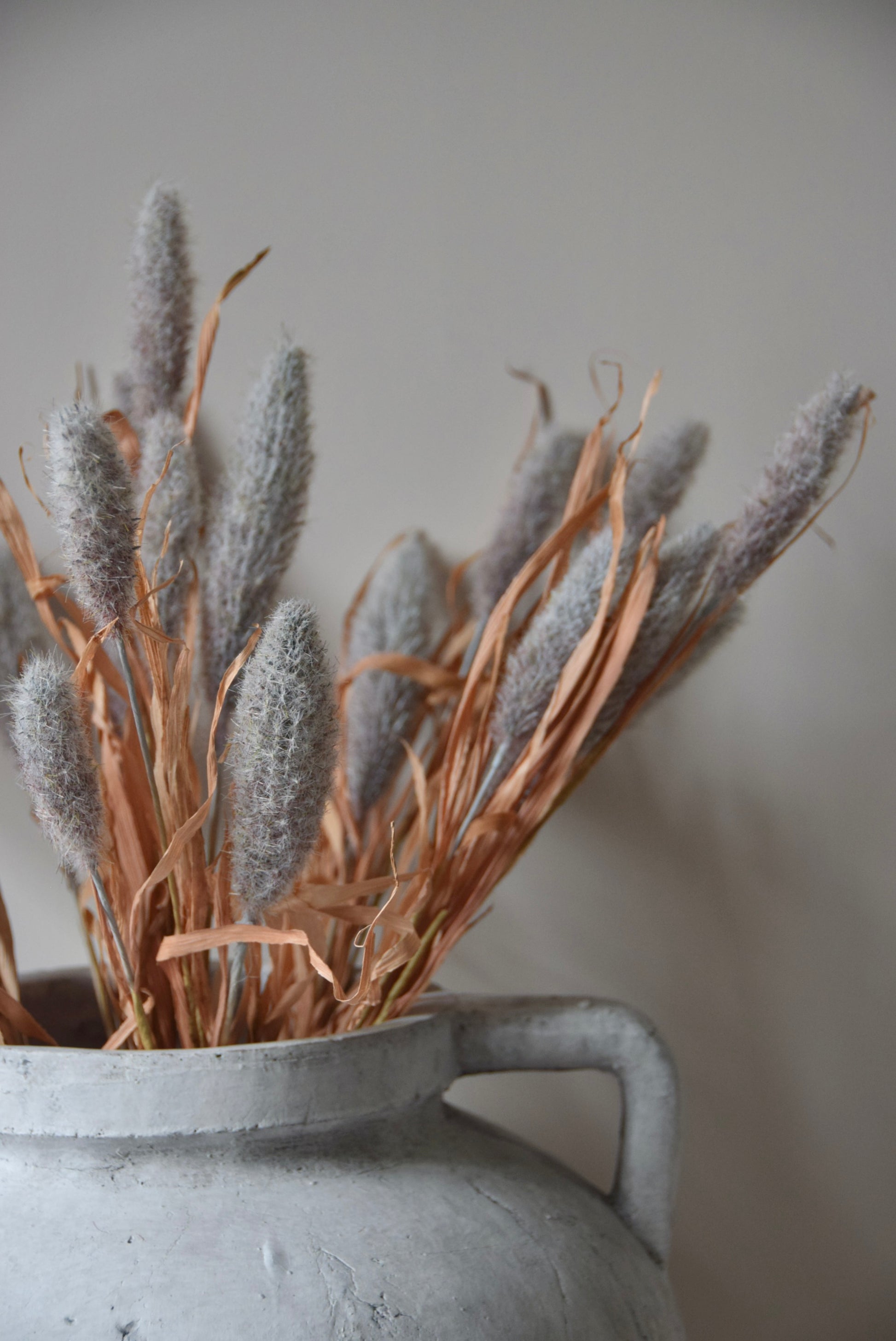 Grey dried look bunny tail reed stems displayed in a greek pelike stone pot placed on a black pedestal.