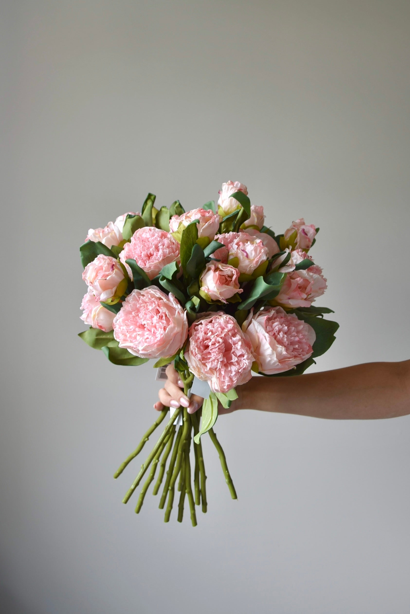 Bunch of pale pink peonies being held against a neutral coloured wall.
