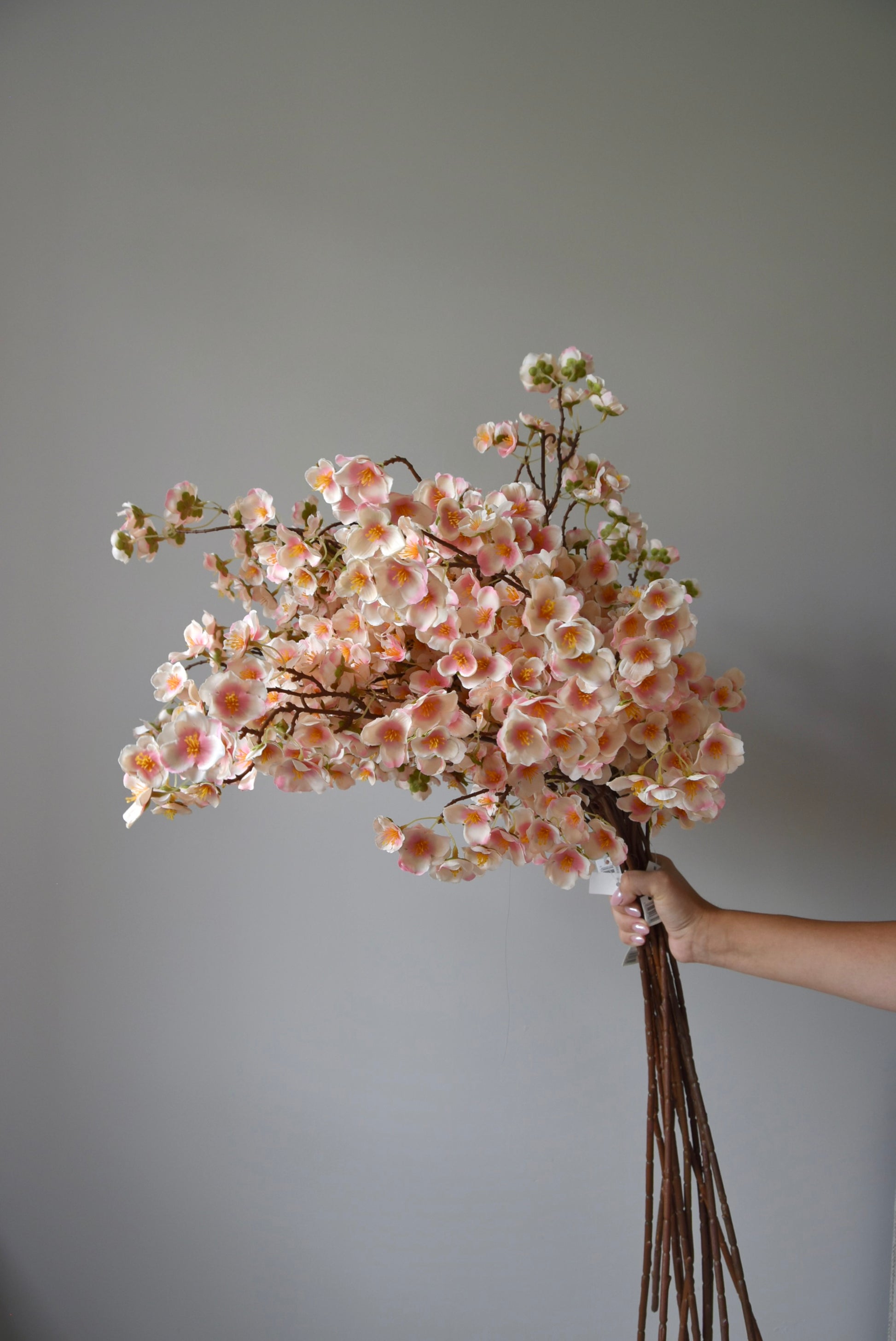 A bunch of pink plum blossom stems displayed against a neutral coloured wall.