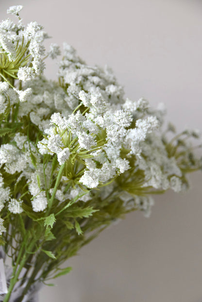 Close up picture of a bunch of cow parsley.