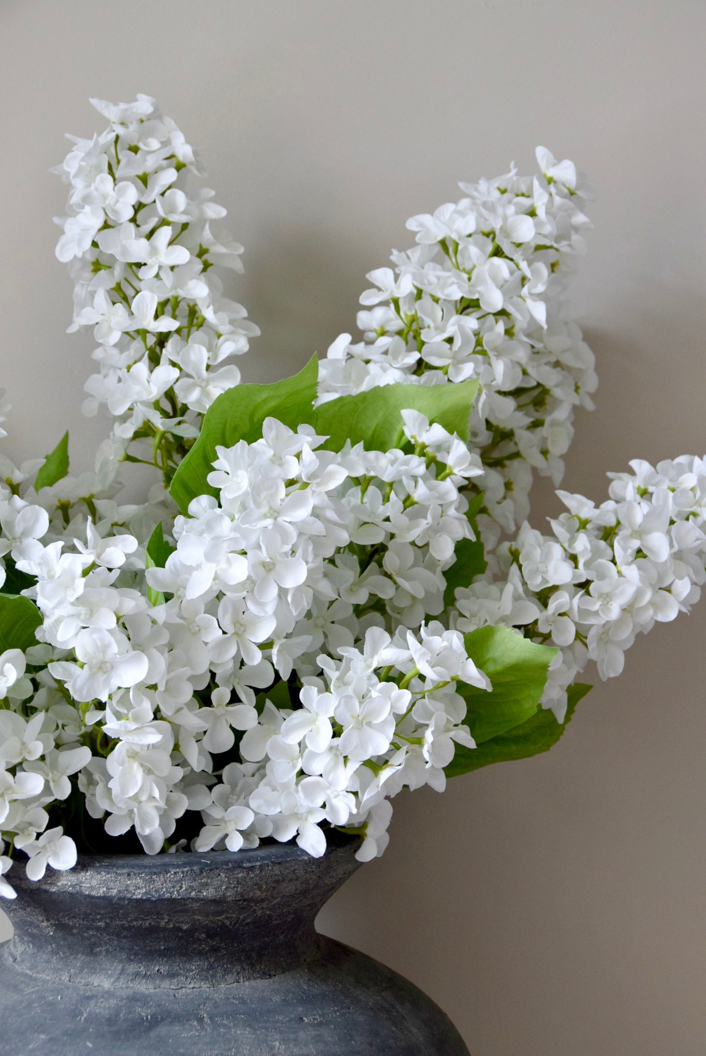 White flowers in a dark vase against a neutral background