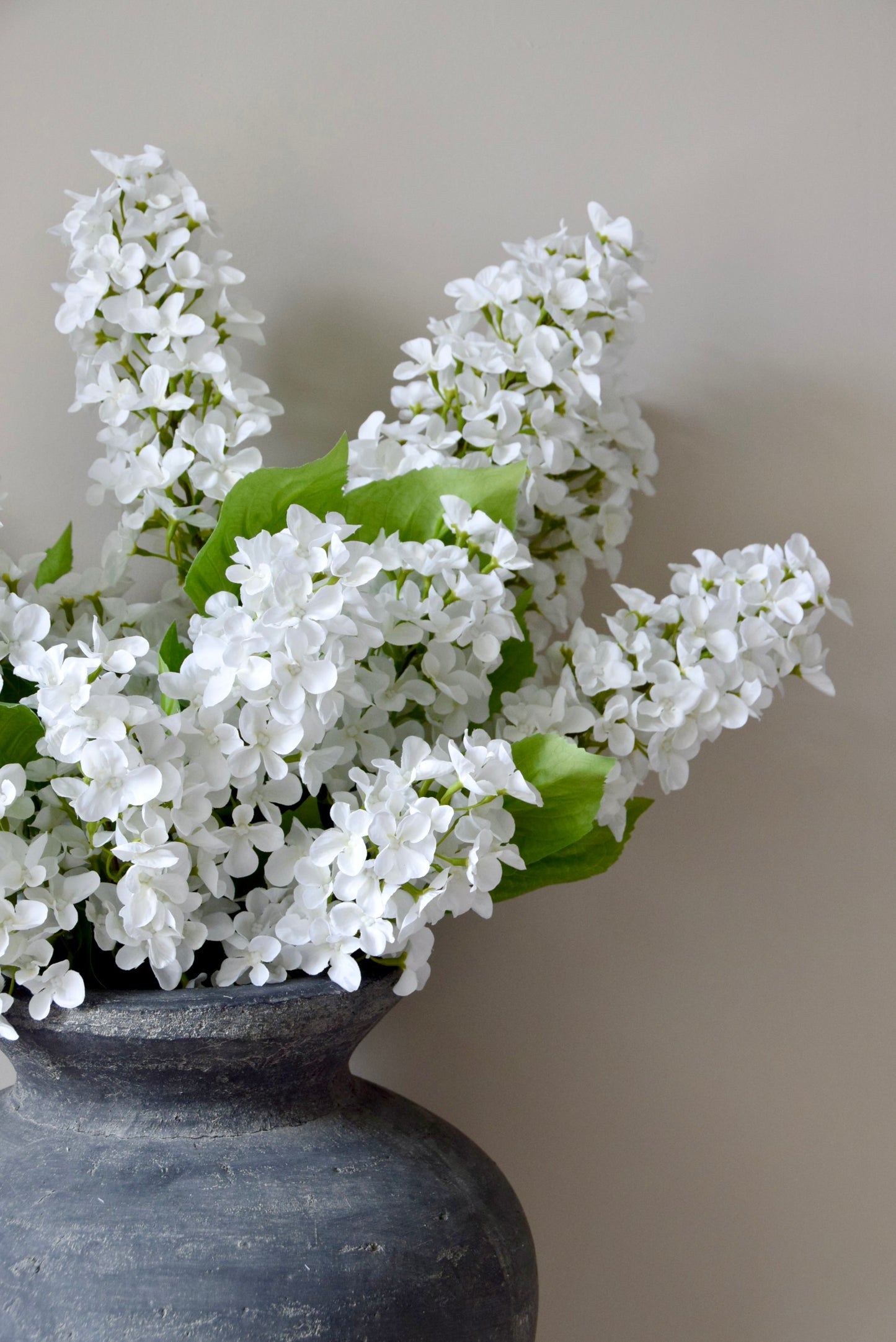 White flowers in a dark vase against a plain background