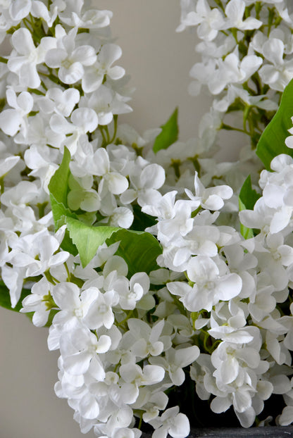 Close-up of white flowers with green leaves on a neutral background