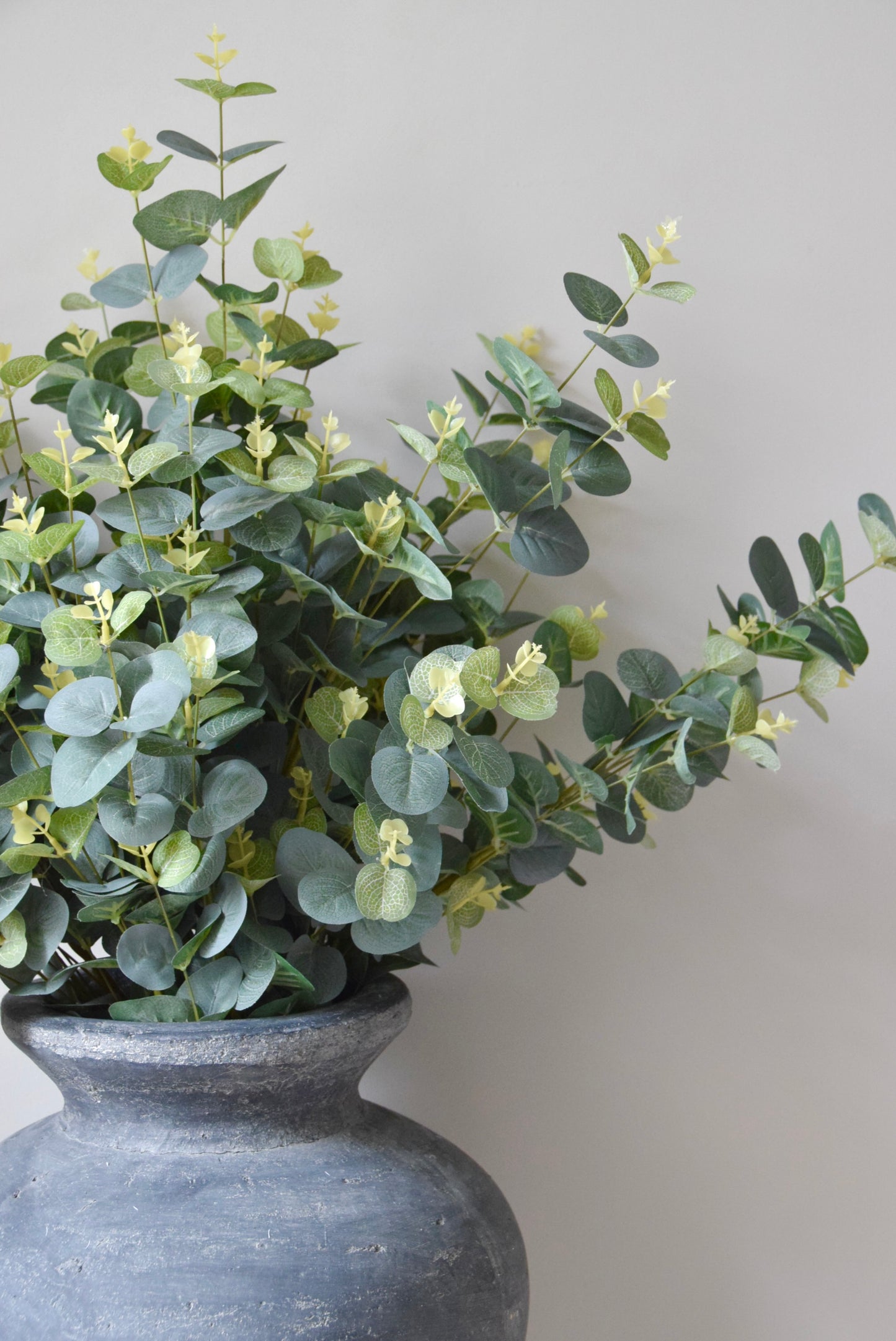 Potted plant with green leaves in a grey pot against a plain background