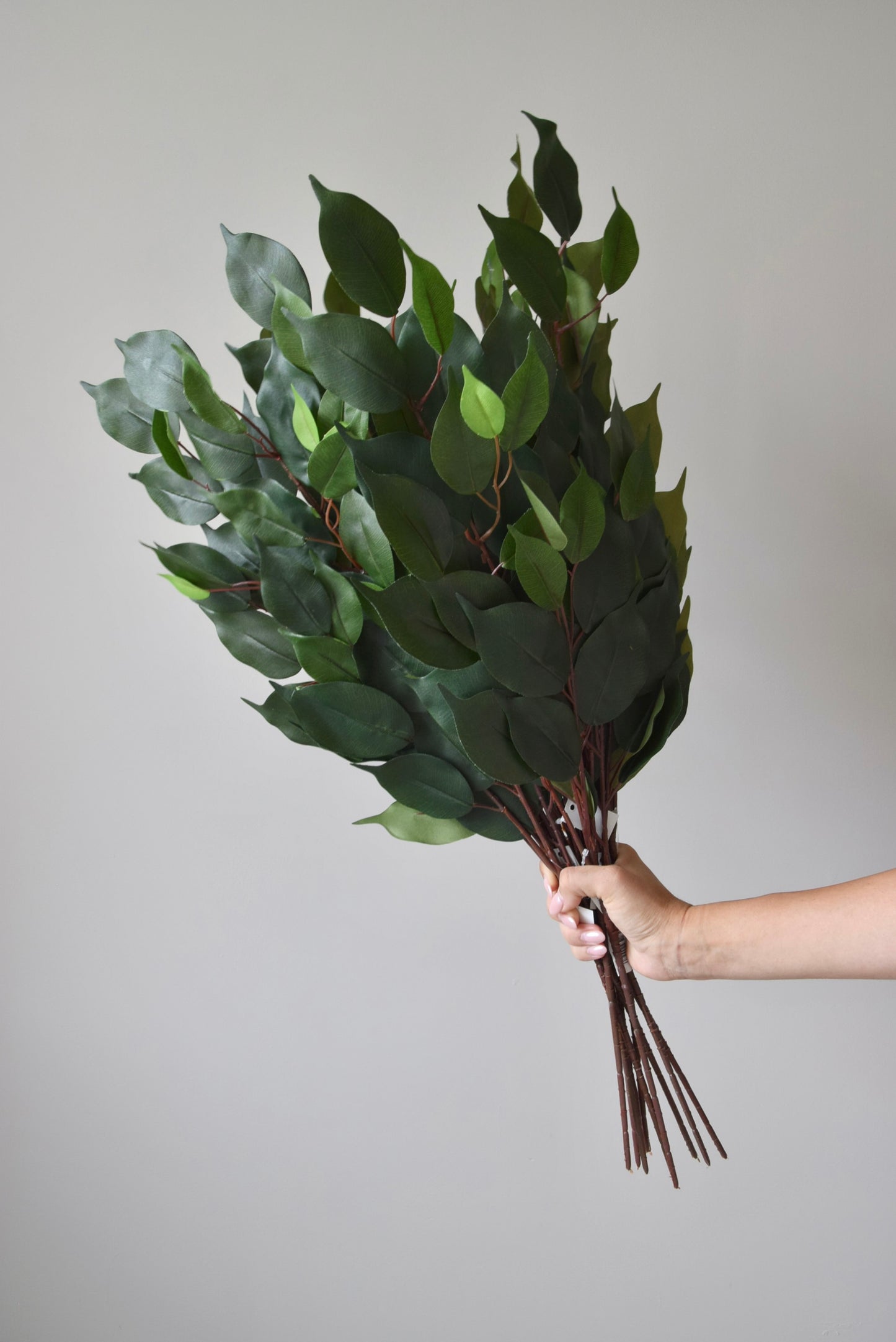 Hand holding a bouquet of dark green leaves against a plain background