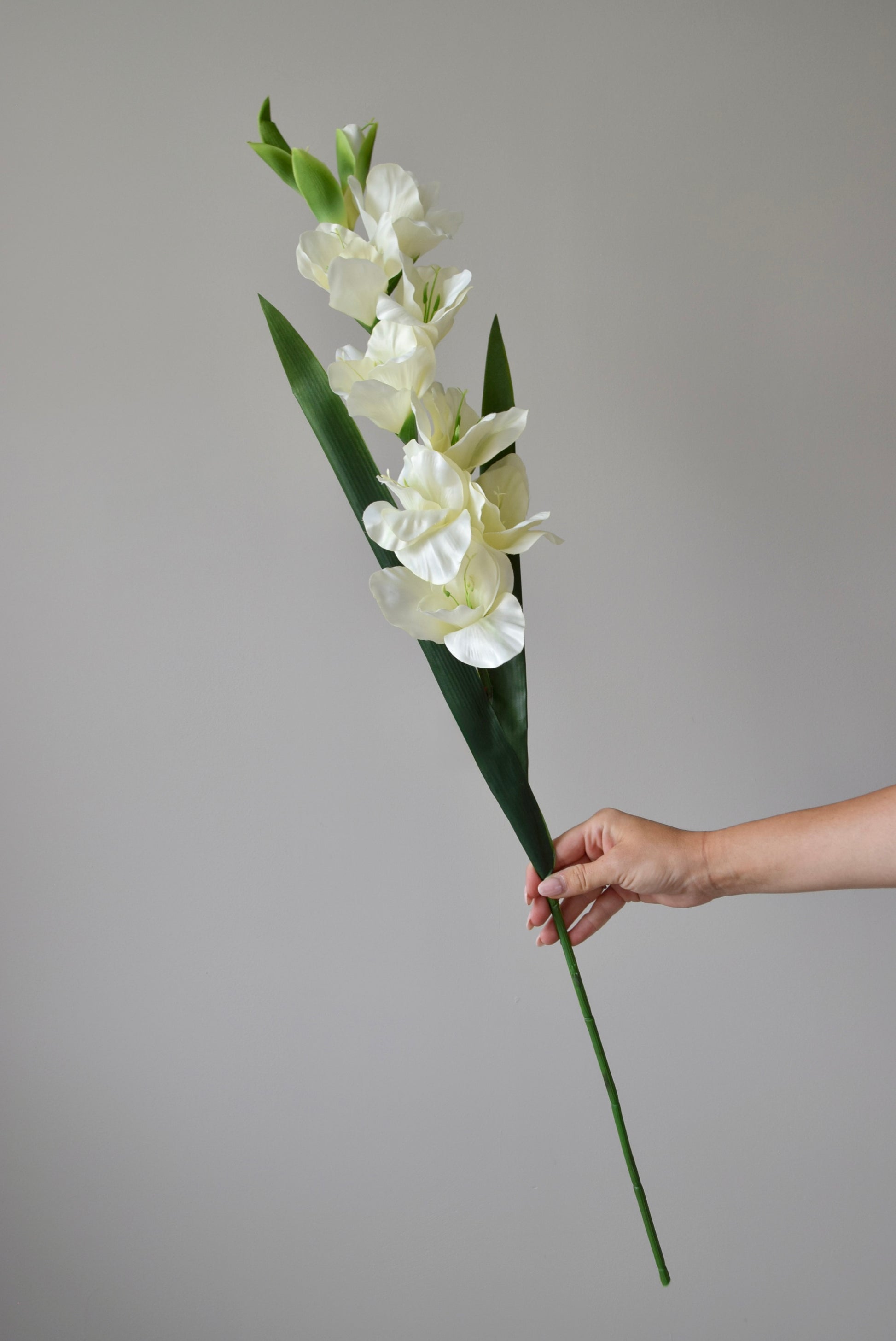 Hand holding a stem of white flowers against a neutral background