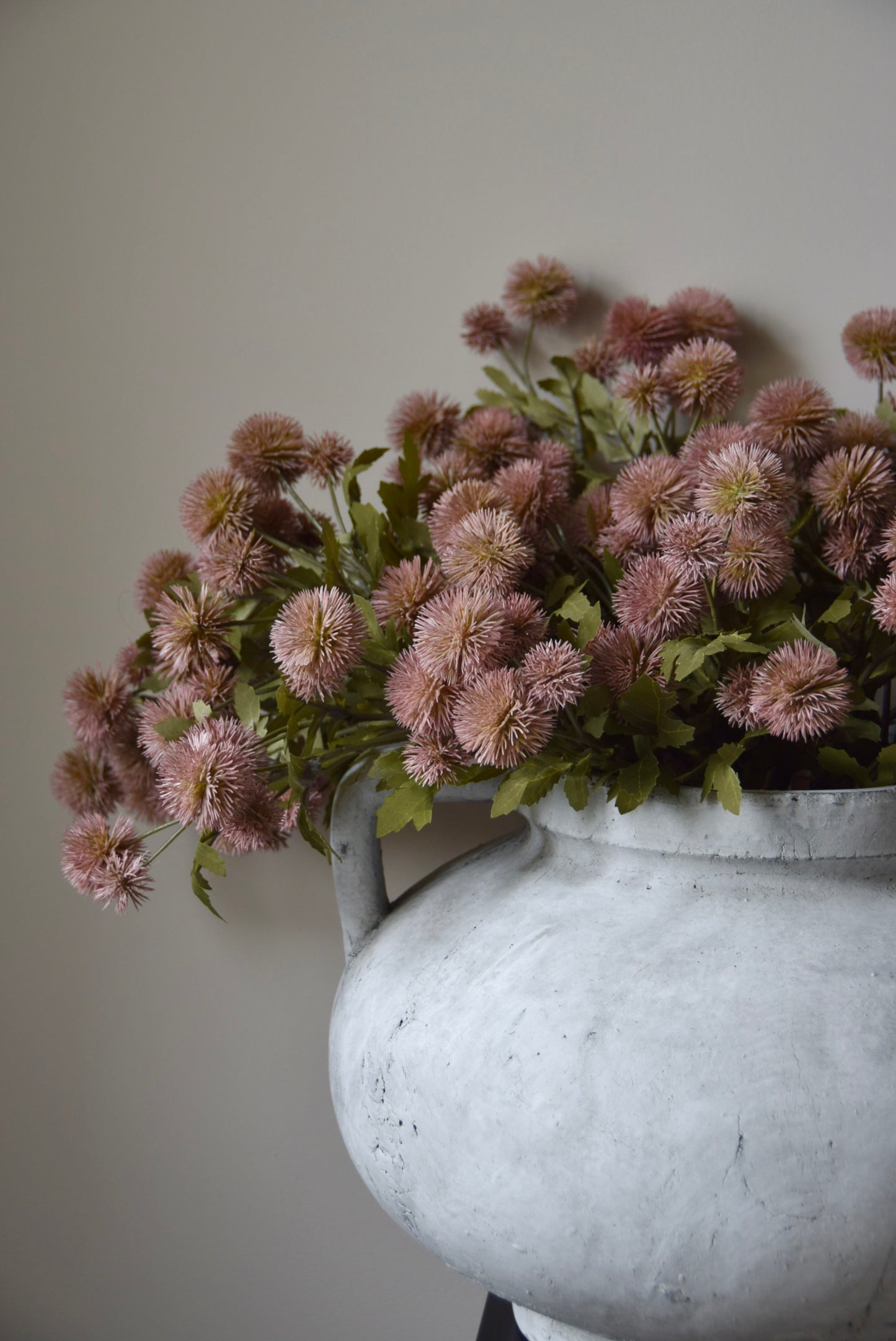 Pink flowers in a white vase against a plain background
