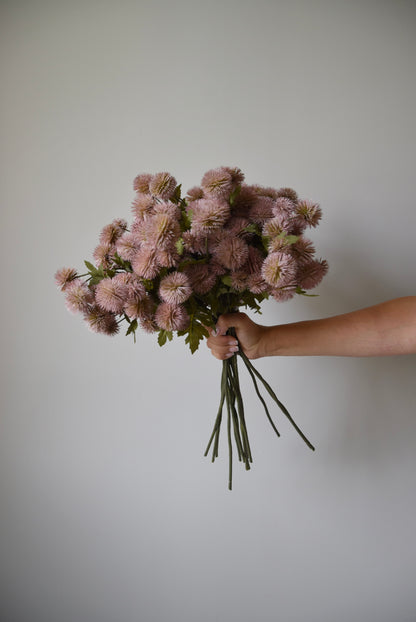 Hand holding a bouquet of pink flowers against a plain background