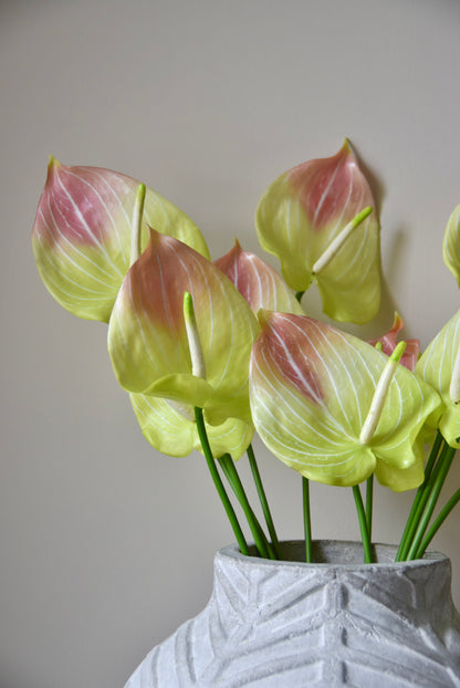 Vase with pink and green flowers against a plain background