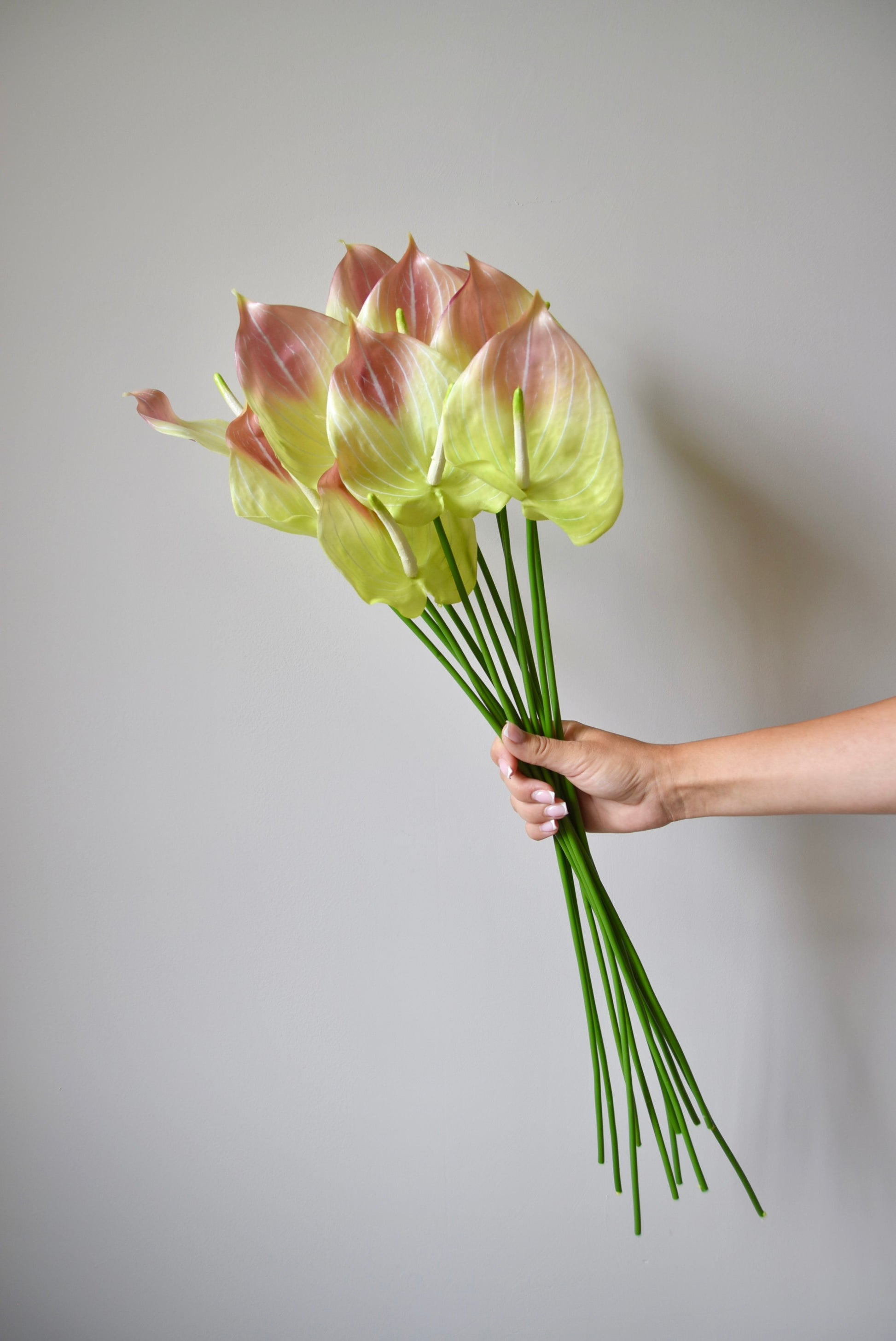 Hand holding a bouquet of pink and green flowers against a plain background