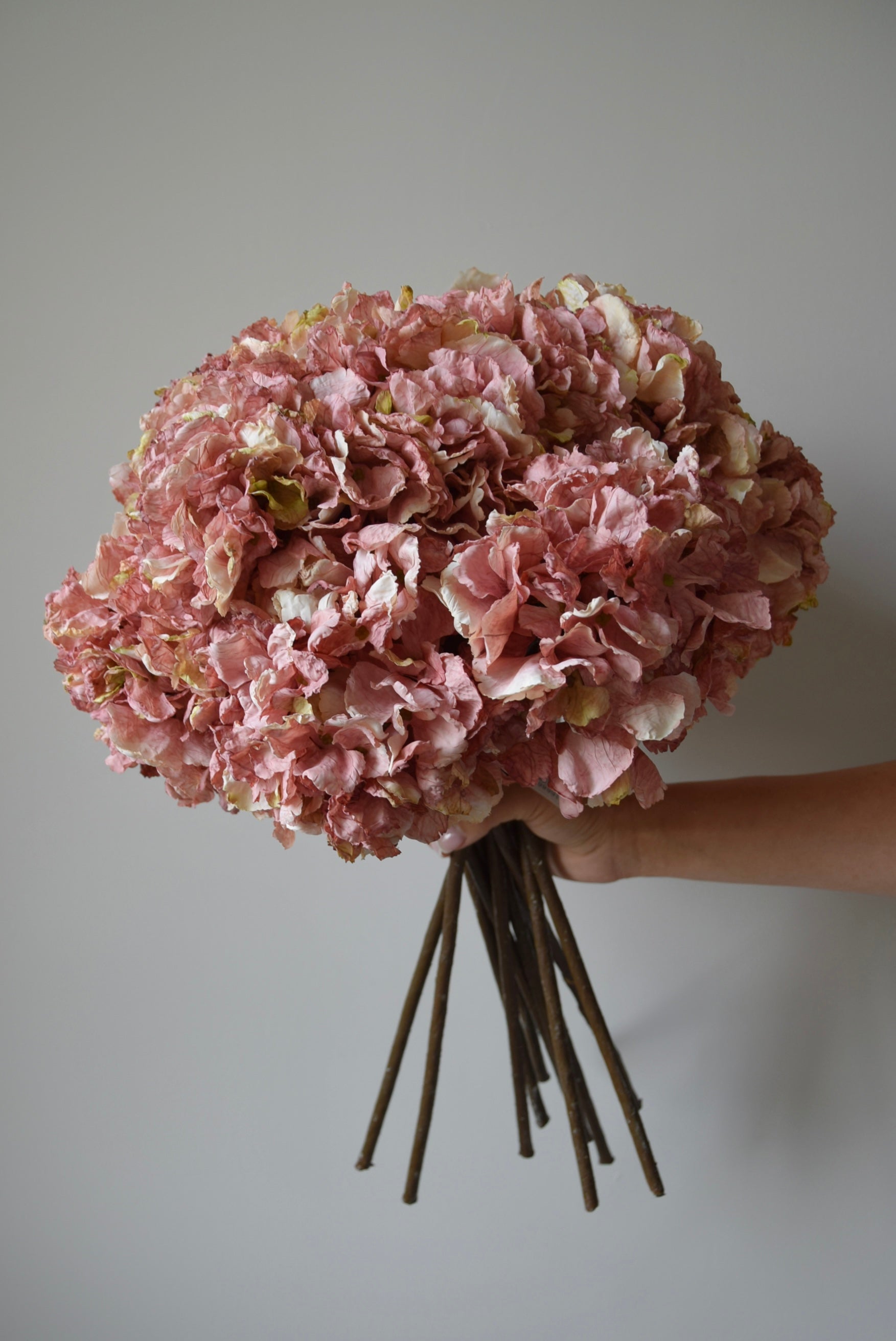Bouquet of pink flowers held against a plain background