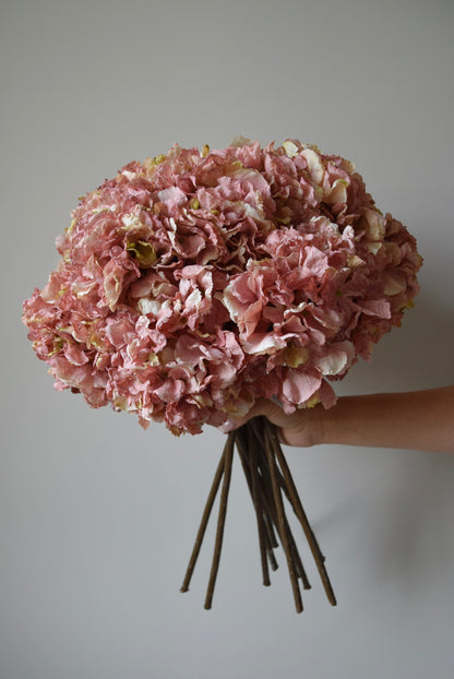 Bouquet of pink flowers held against a plain background