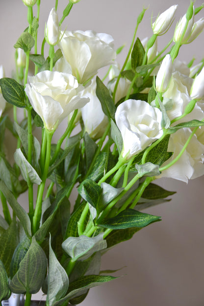 White flowers with green stems and leaves on a neutral background