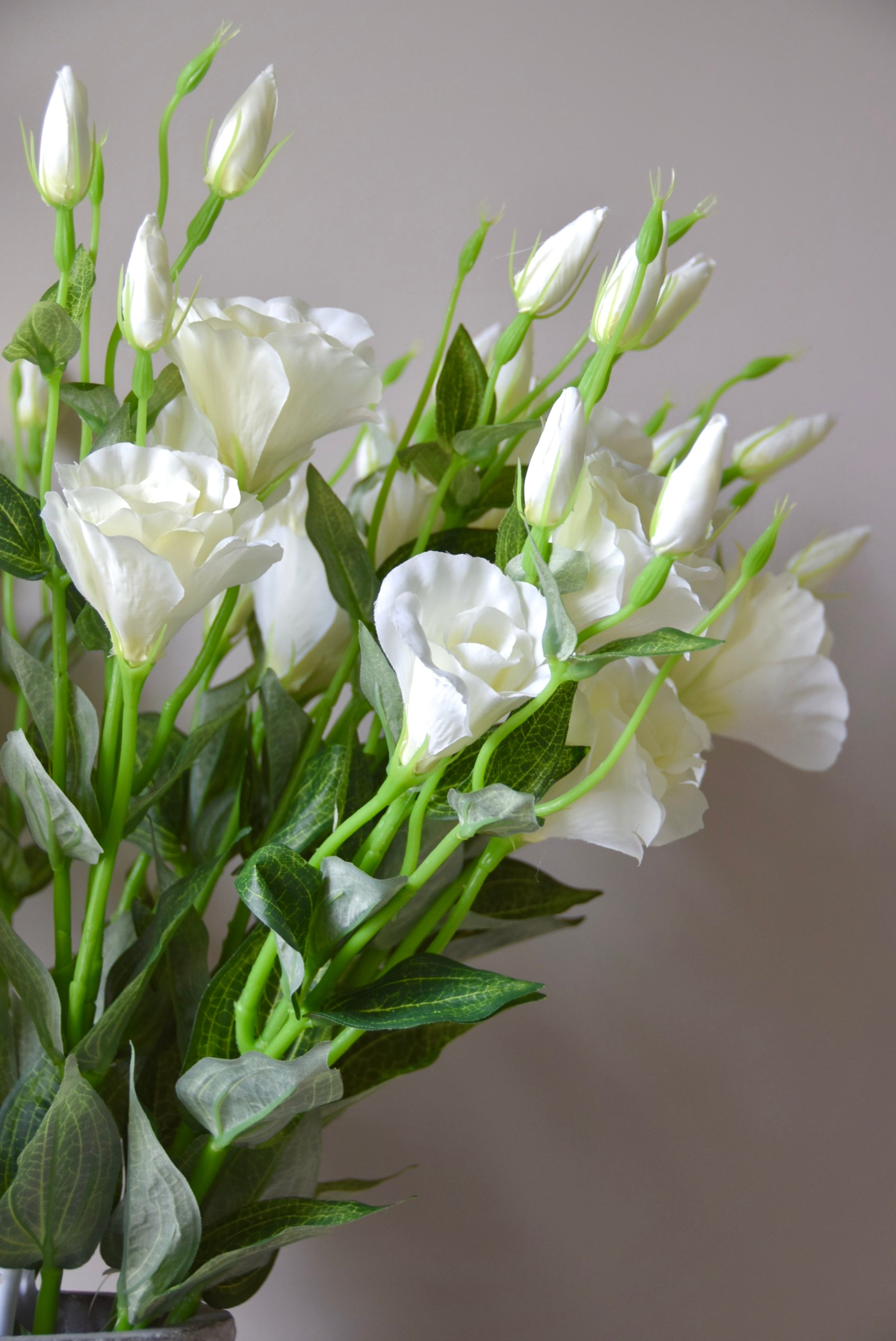 Bouquet of white flowers with green stems on a plain background