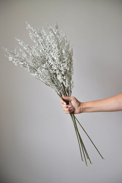 Hand holding a bouquet of dried white flowers against a grey background