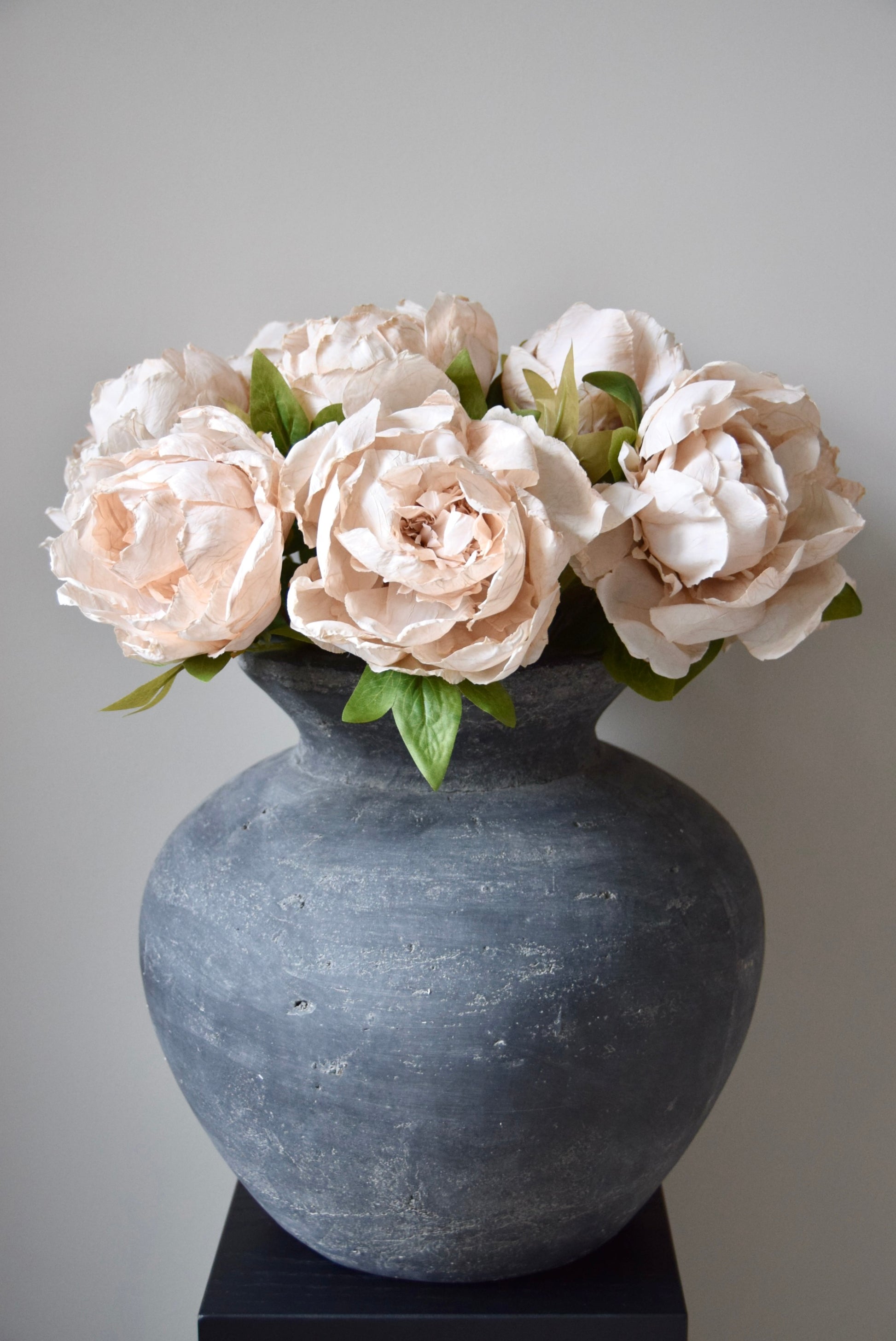 Grey vase with cream flowers on a grey background