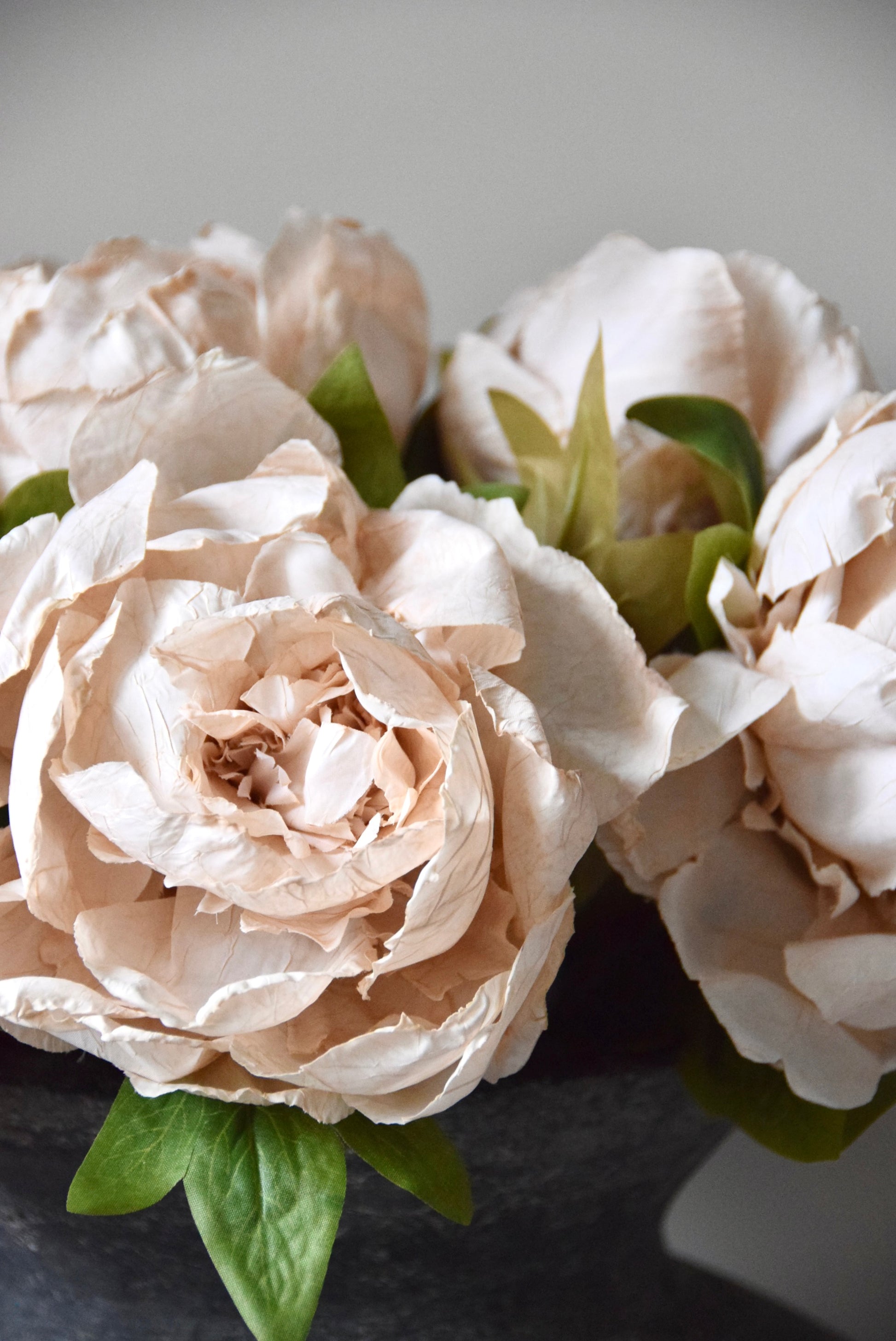 Close-up of beige flowers with green leaves on a neutral background