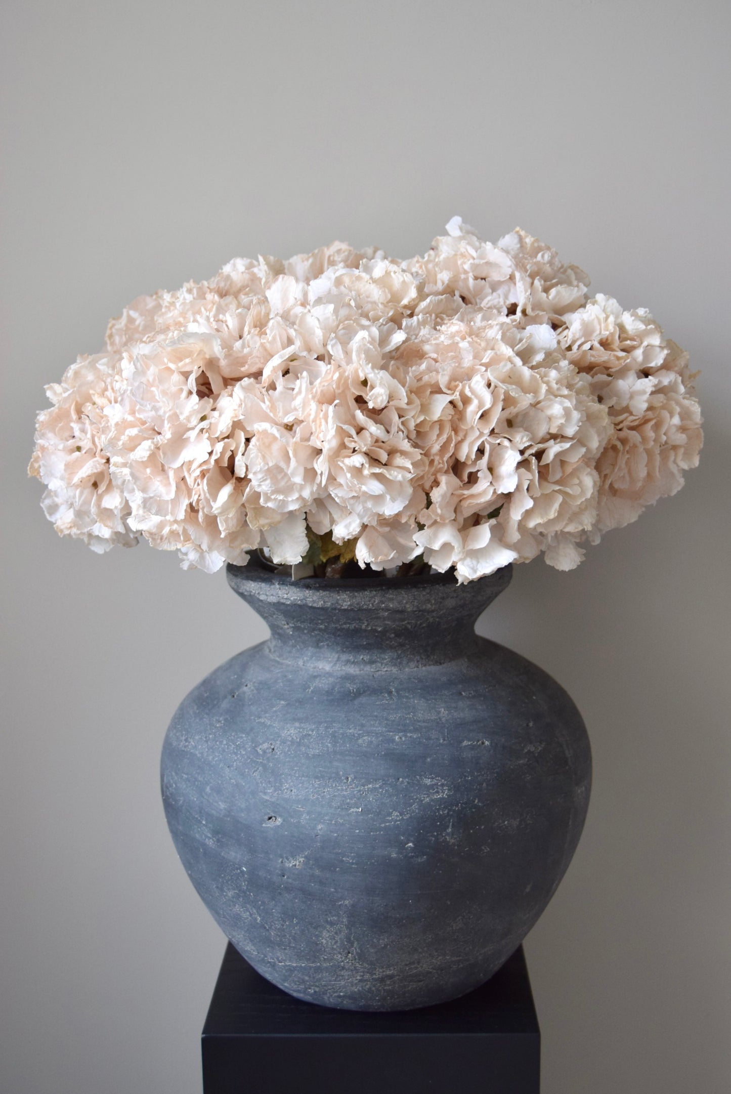 Grey vase with cream flowers against a grey background