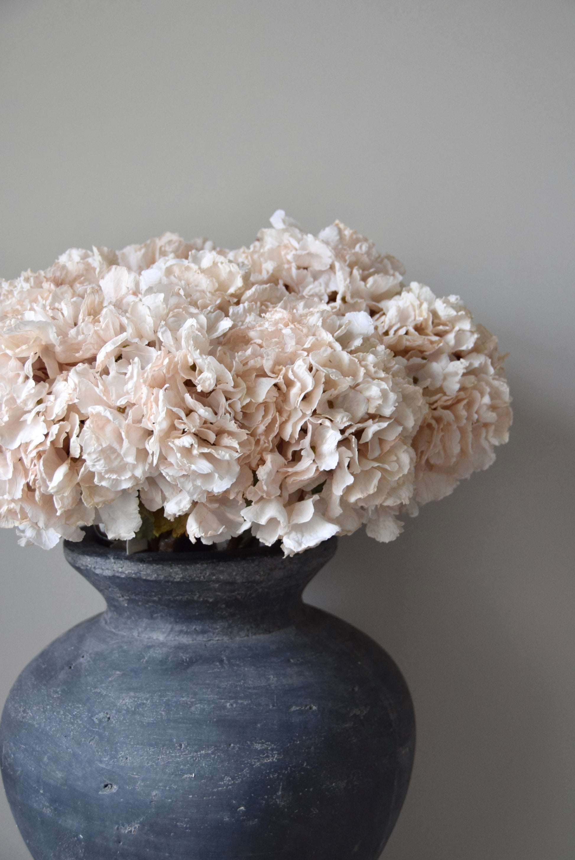 Vase with cream flowers against a plain background