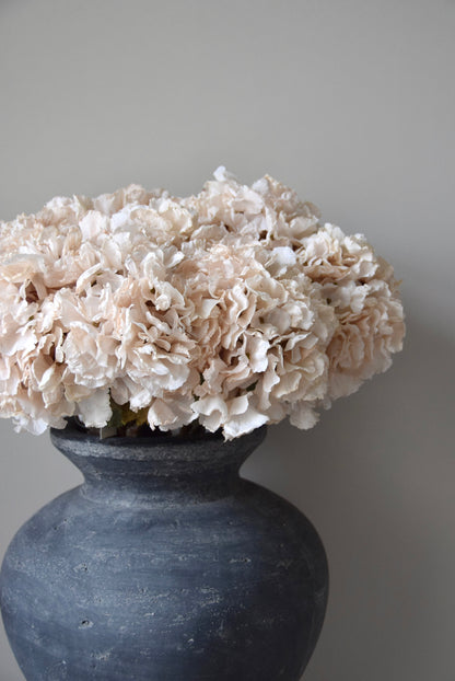 Vase with cream flowers against a plain background