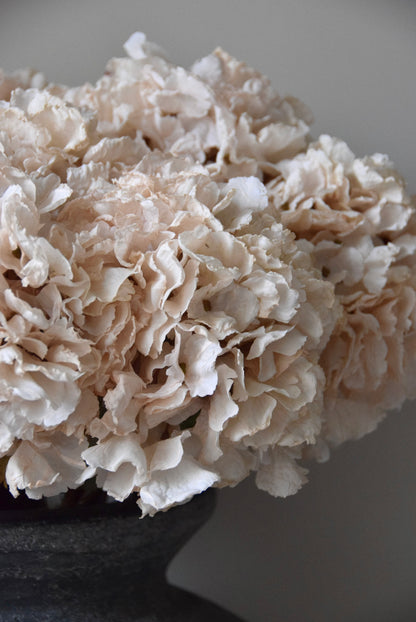 Close-up of a bouquet of cream flowers in a dark vase on a light background