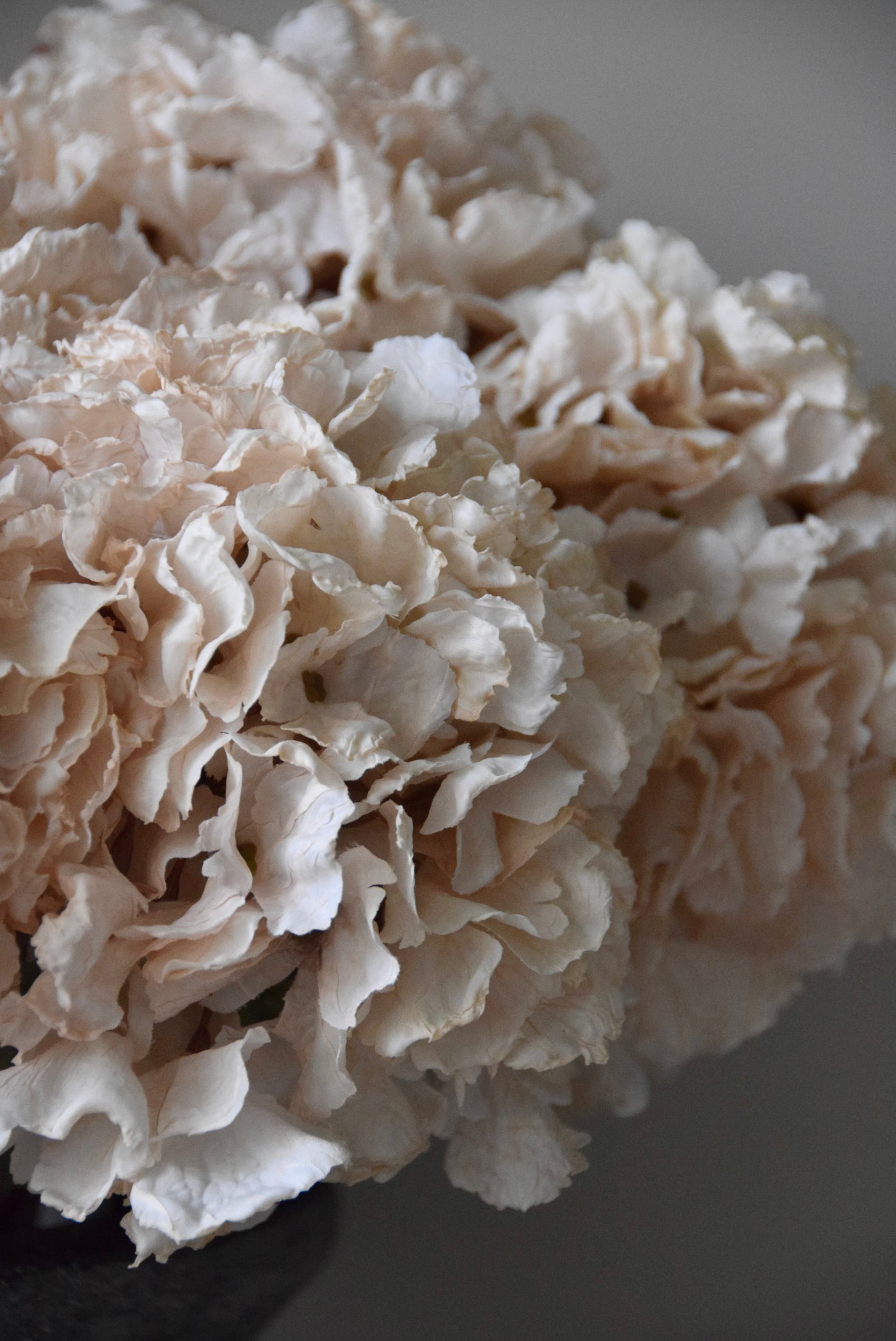 Close-up of a bouquet of cream flowers on a neutral background
