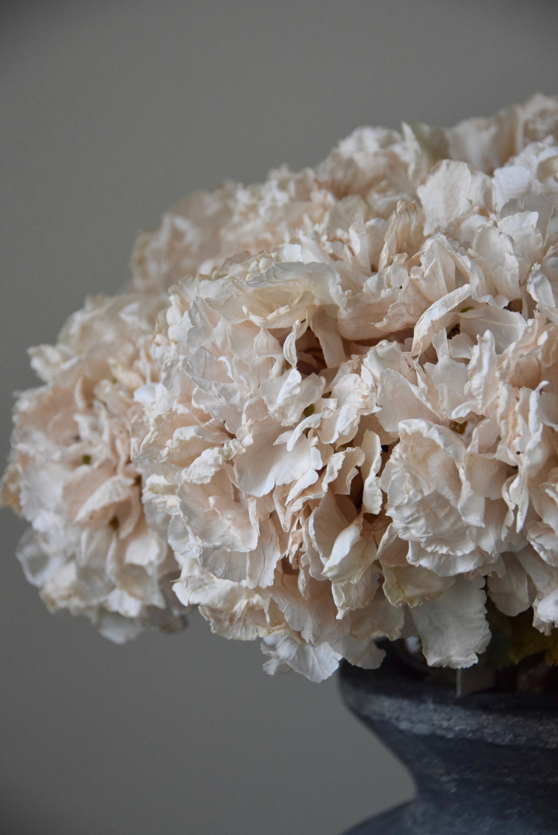 Close-up of a bouquet of cream flowers against a grey background