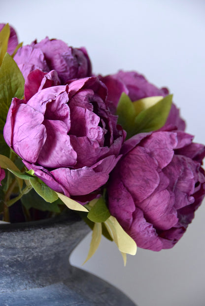 Close up of burgundy peonies against a plain background.